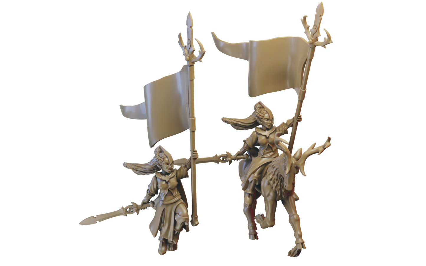 Battle Standard Bearer