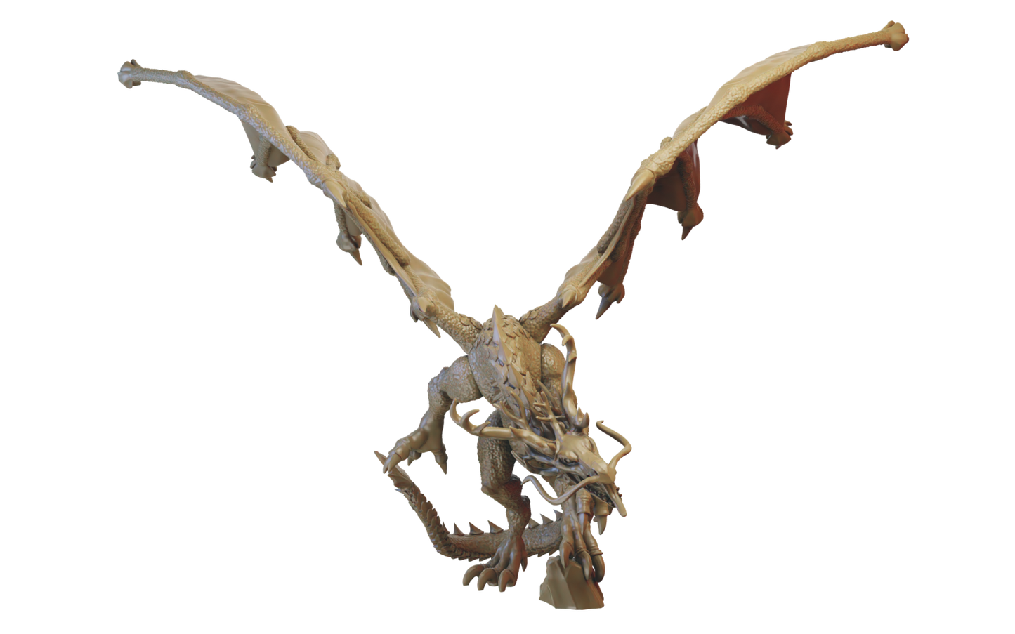 Lord on Forest Dragon