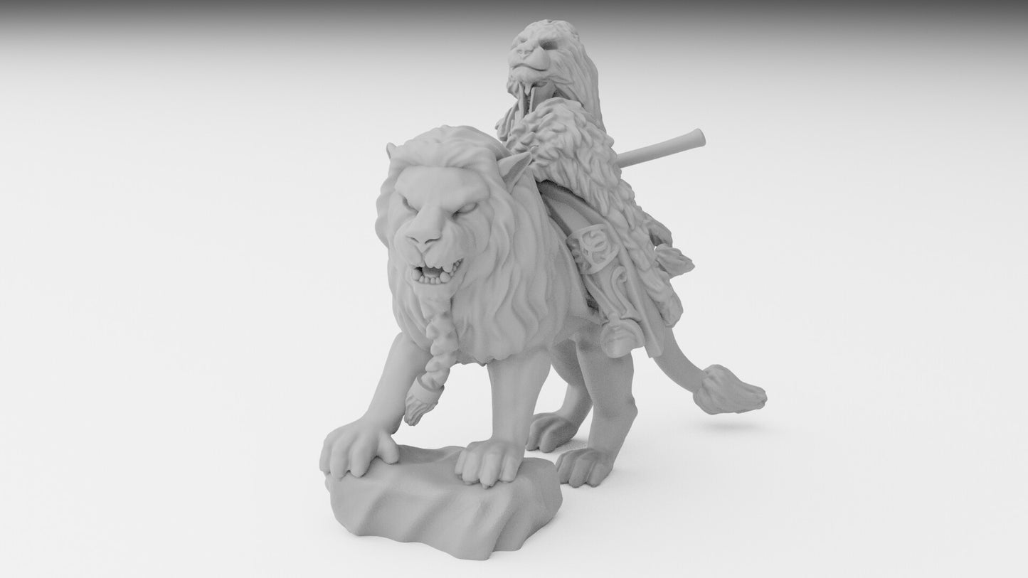 Lion Rider Hero
