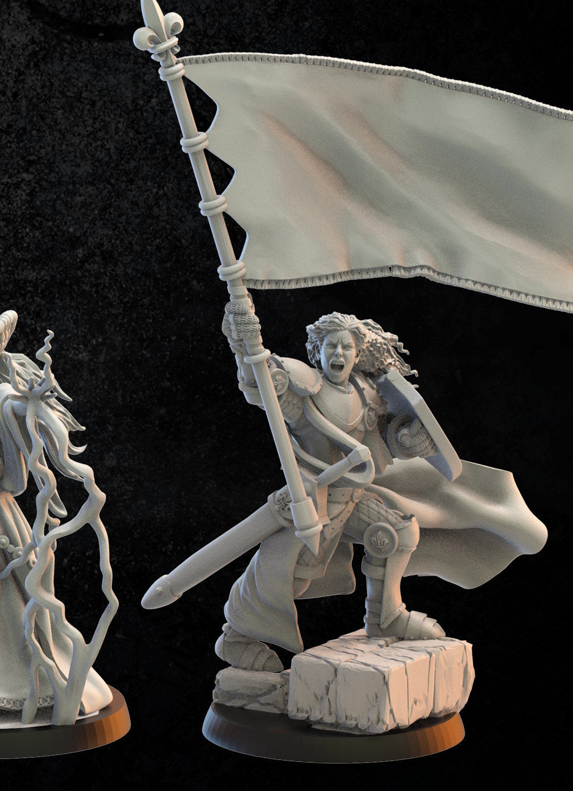 Army Standard Bearer