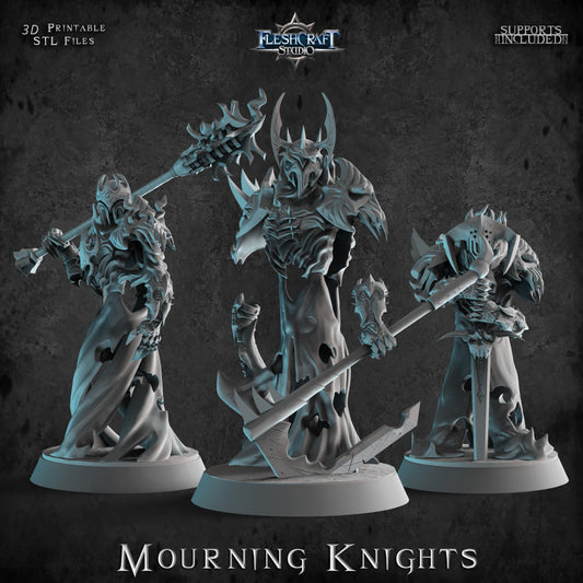 Mourning Knights [3 Models]