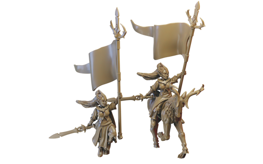 Battle Standard Bearer