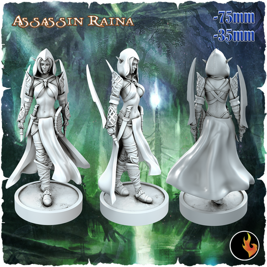 Raina, Elven Assassin