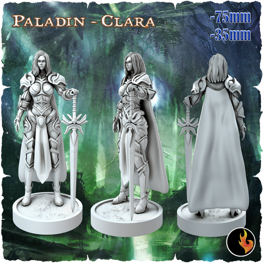Clara, Elven Paladin