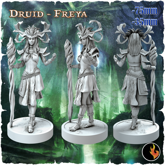 Freya, Elven Druid