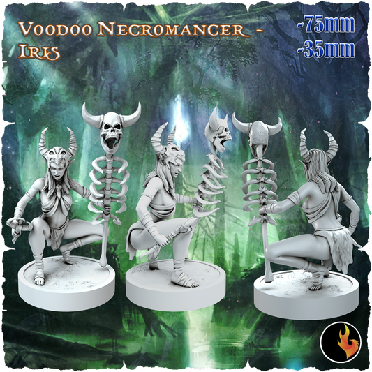 Iris, Elven Necromancer